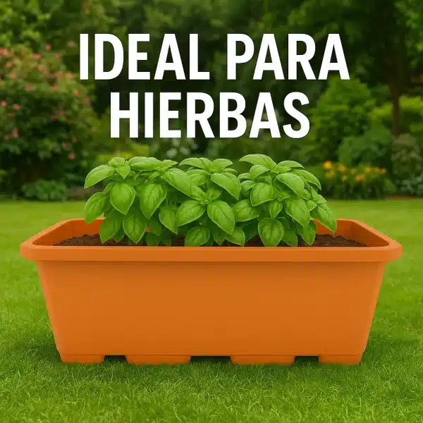 Pack 6 Jardineras 8L Balcon,Terraza, Jardin, Aromaticas 40x17,5x15 Color Arcilla - Imagen 5