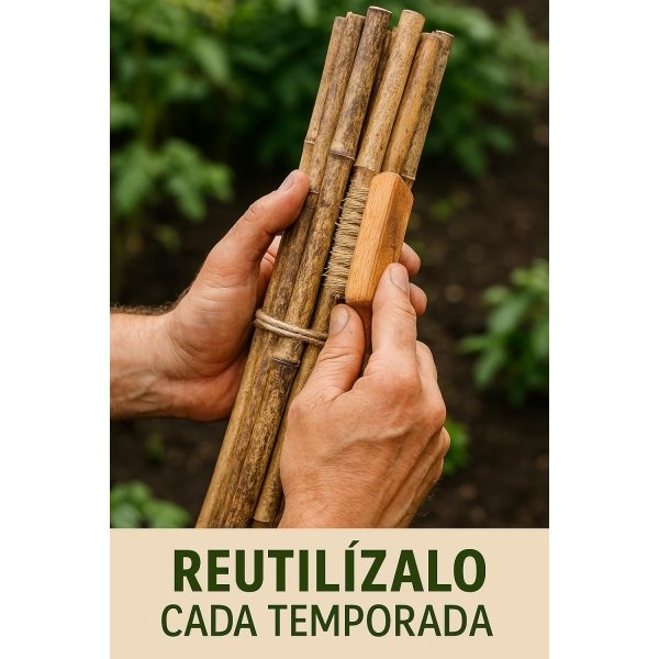 Tutores de Bambu 180 cm – Ø 14-16 mm - Imagen 2