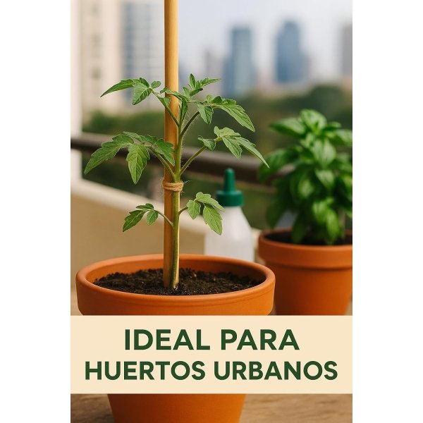 Tutores de Bambu 180 cm – Ø 14-16 mm - Imagen 3