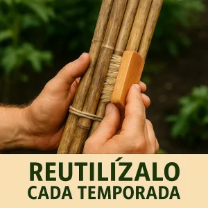 100 Tutores de Bambú 120cm - Diametro 10/12mm para Plantas de Tomates - Estacas Huerto - Cañas de Bambù Tomateras - Imagen 2