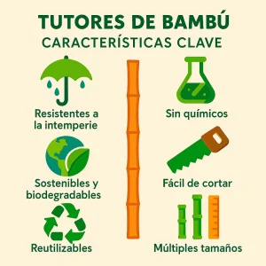 100 Tutores de Bambú 120cm - Diametro 10/12mm para Plantas de Tomates - Estacas Huerto - Cañas de Bambù Tomateras - Imagen 6