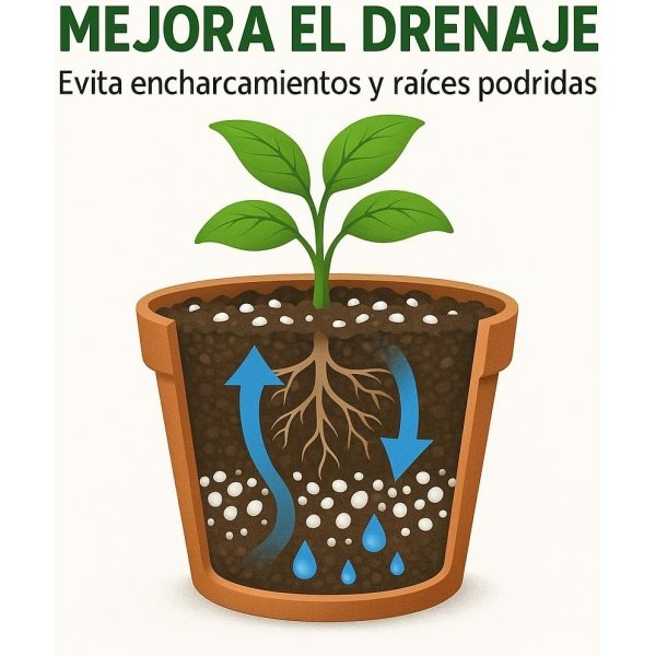 Perlita para Plantas - Mineral Perlite para Mezclar con Tierra/Sustrato - Perlita Expandida – Sustrato Ligero para Jardinería y Macetas, Mejora Drenaje - Imagen 3