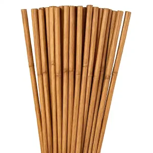 25 tutores de bambu para tomate