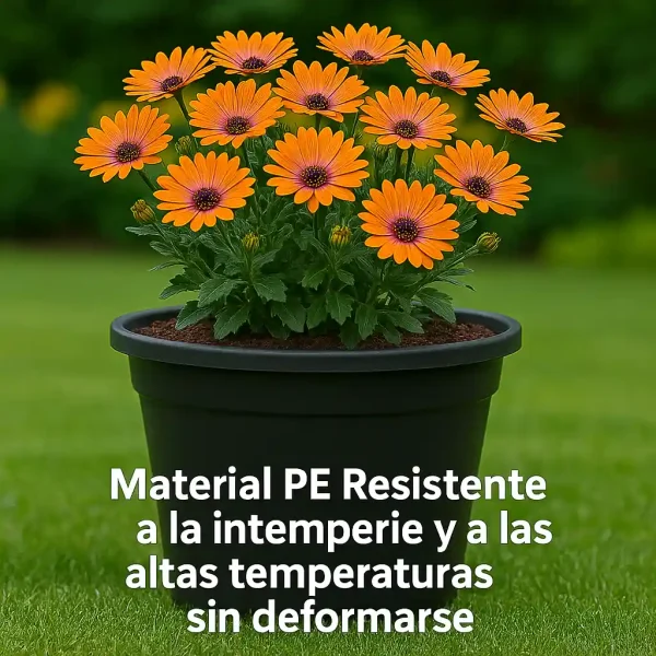 Maceta 16L Exterior Plastico con Drenaje – 30x33x29,5 cm – Resistente a UV y Heladas – Maceta Exterior y Apilable – Cultivo Indoor/Outdoor Color Negro - Imagen 8